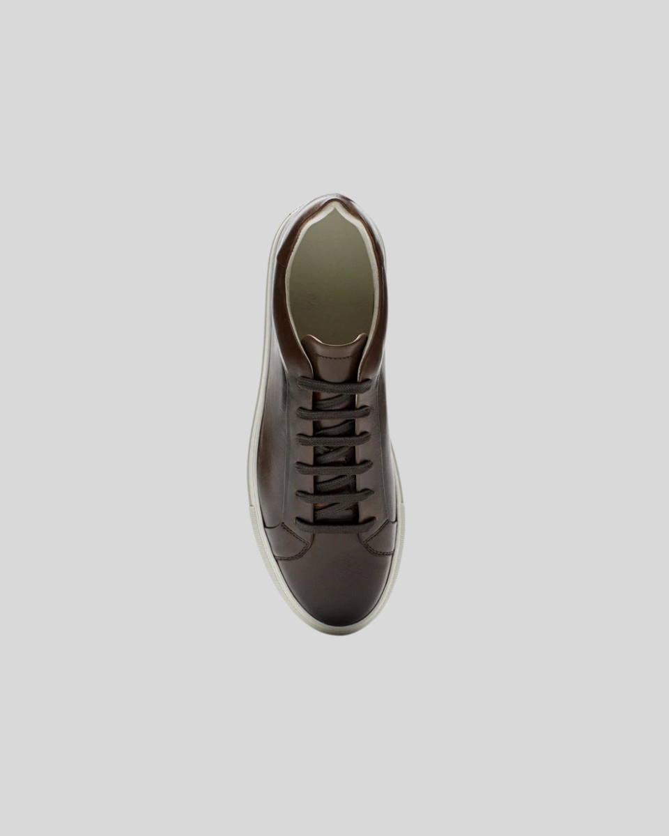 Leather Oxford Sneakers - Brown - Sophie New York