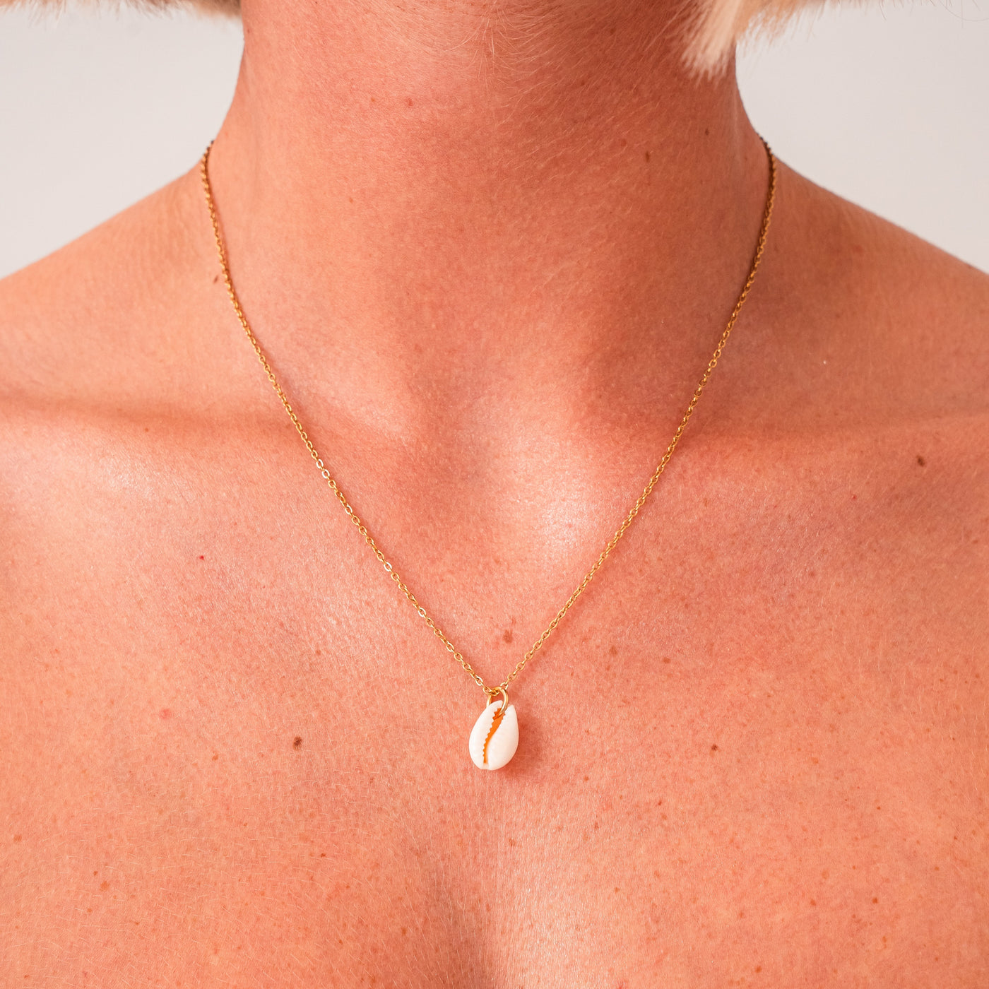 Kauri Shell (Gold)