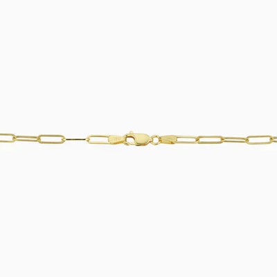 Venice Link Bracelet | 14k Gold