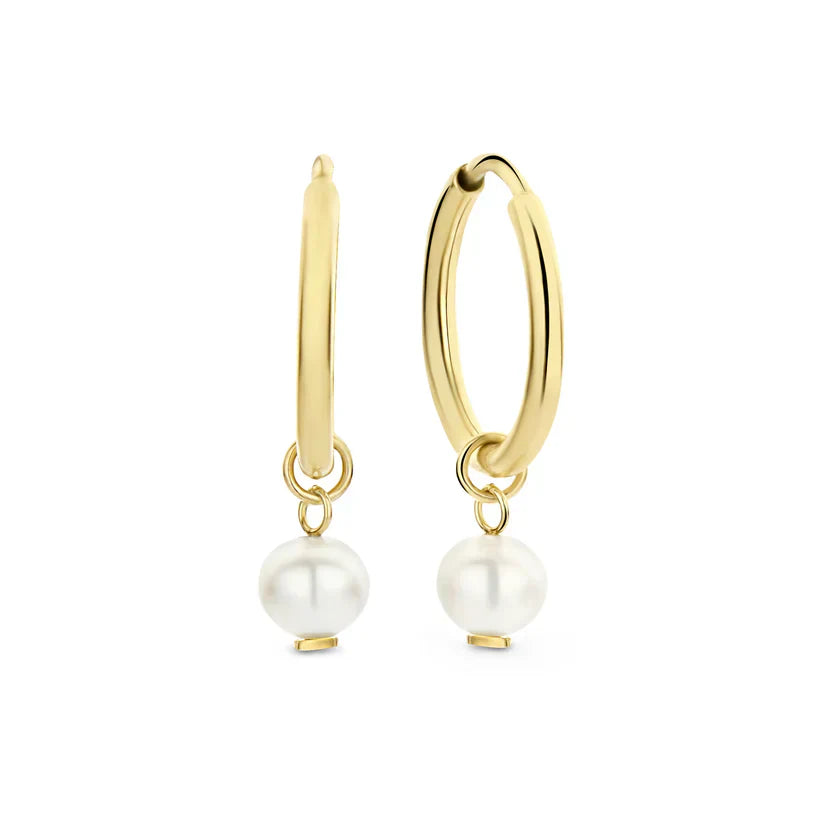 Delia Crest Earrings | 14k Gold