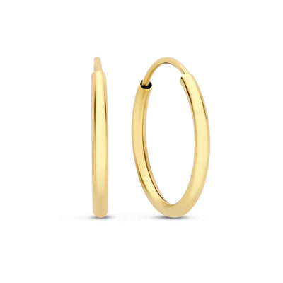 Noémie Sorel Earrings | 14k Gold