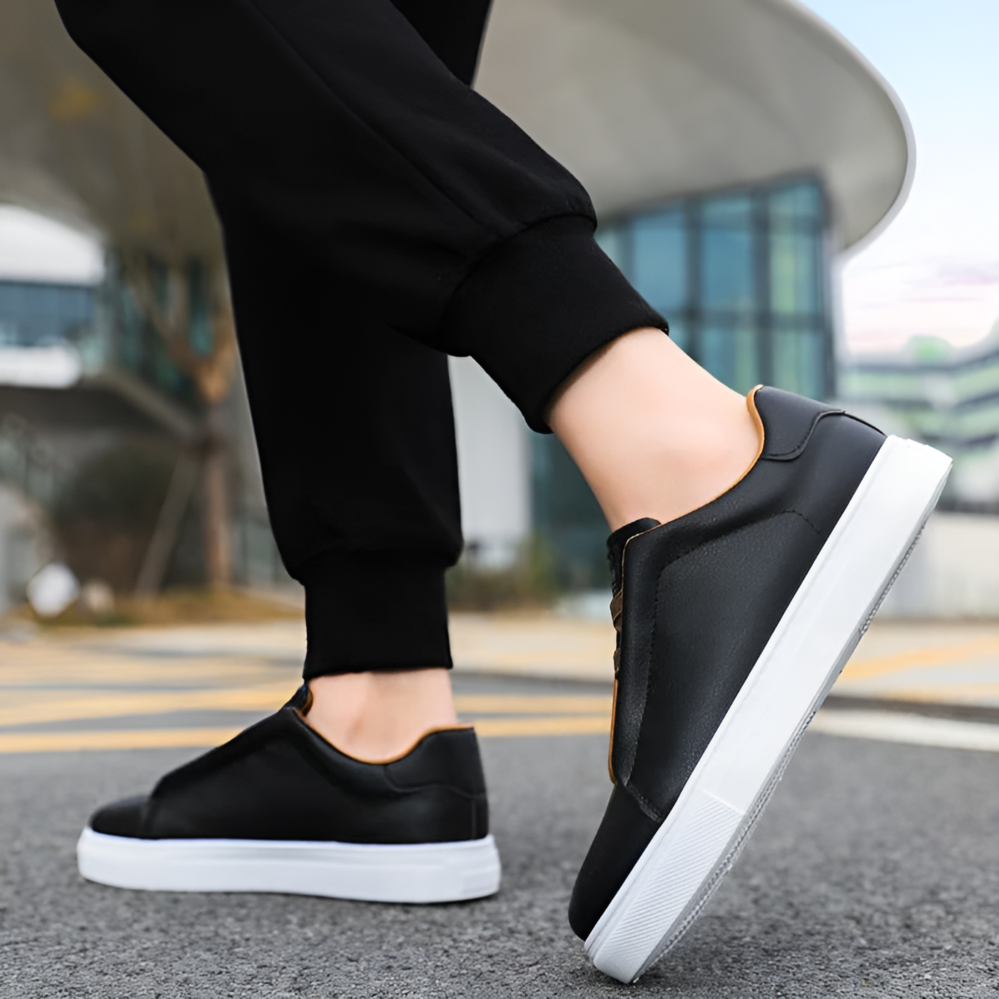 Bernardo | Stylish Sneakers